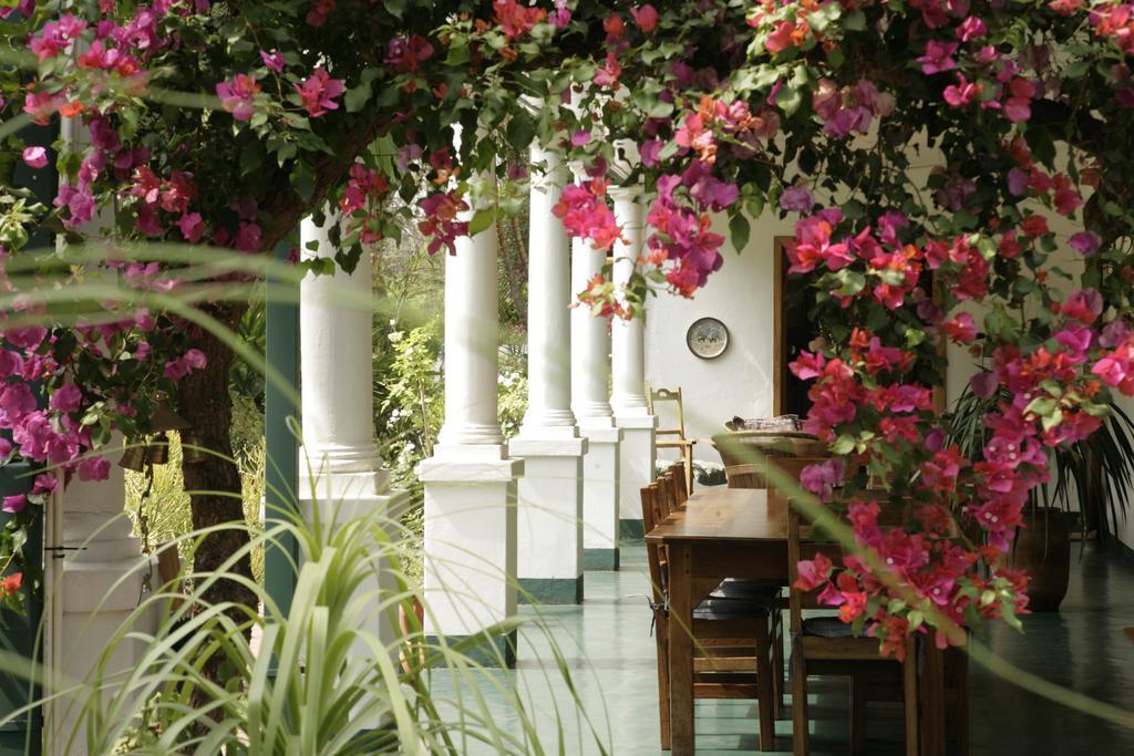 York Lodge Хараре Екстер'єр фото